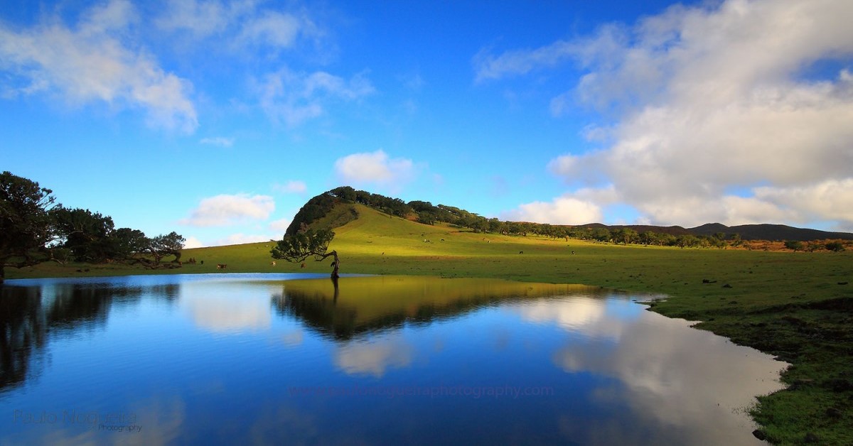 Madeira enthüllt: Ihr Rentx-Leitfaden zum Inselparadies