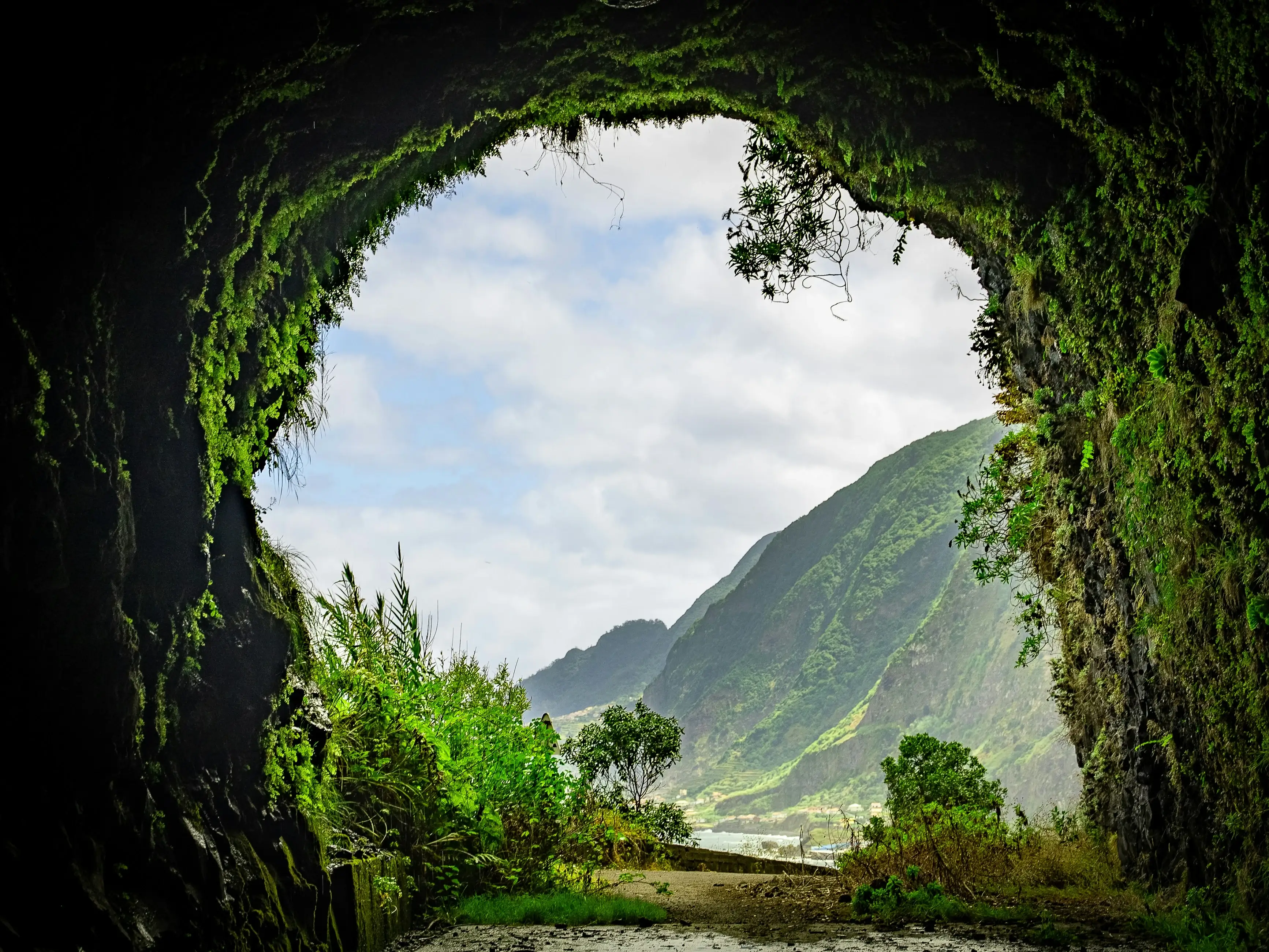 Scopri Madeira in auto